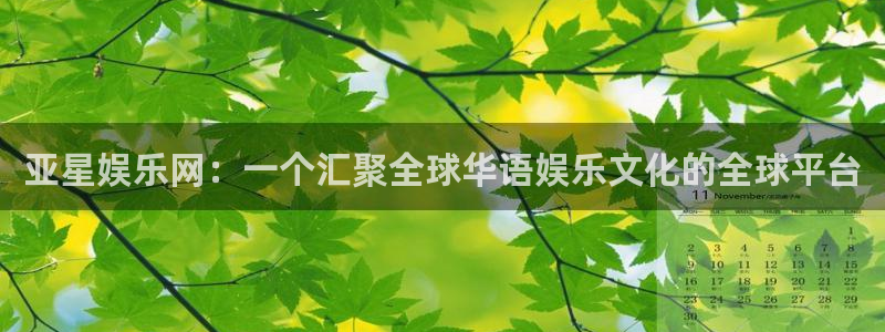 天辰娱乐登录：亚星娱乐网：一个汇聚全球华语娱乐文化的全球平台