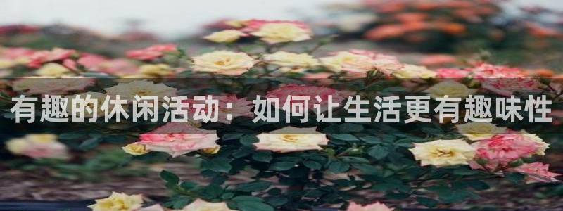 天辰娱乐：有趣的休闲活动：如何让生活更有趣味性