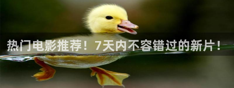 天辰娱乐下载