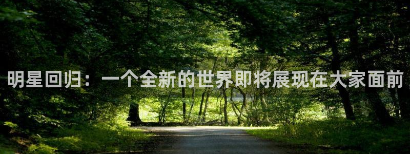 天辰娱乐下载：明星回归：一个全新的世界即将展现在大家面前
