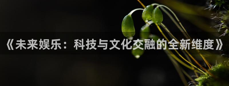 upload/20250701114914.jpg